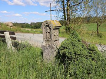 Percorso A piedi Wallenfels - Allerswald-Weg RT 14 - Photo