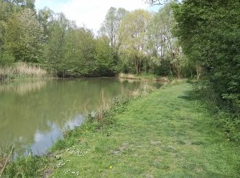 Tocht Stappen Allennes-les-Marais - Allennes les Marais Les étangs de Don - Photo