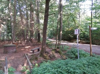 Tocht Te voet Schermbeck - Fuchsbau Rundweg A1 - Photo