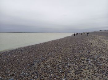 Trail Walking Cayeux-sur-Mer - Pointe du Hourdel (Baie de Somme) - Photo