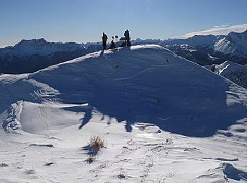 Tocht Te voet Sauris - IT-206 - Photo