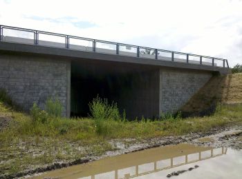 Tocht Te voet Neukieritzsch - Rundweg Hainer See - Photo