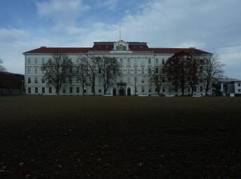 Trail On foot  - Stadtwanderweg Bachlberg - Photo