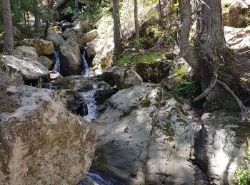 Excursión Senderismo Asco - Haute-Corse- Gorges de l Asco - Photo