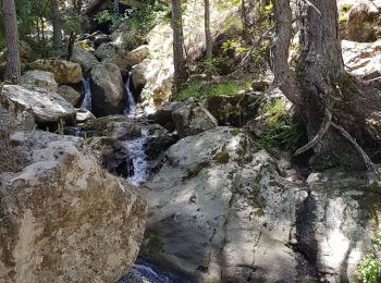 Tocht Stappen Asco - Haute-Corse- Gorges de l Asco - Photo