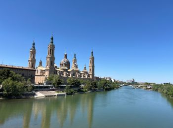 Excursión Senderismo Pina de Ebro - CAMINO CATALAN PINA DE EBRO-ZARAGOZA - Photo