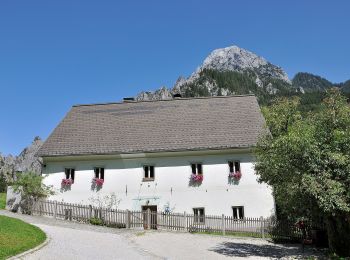 Tour Zu Fuß Admont - Wanderweg 77, Sonnenseitenweg - Photo