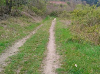 Excursión Senderismo Enval - Le sentier du Renard 🦊 l'Apage  - Photo