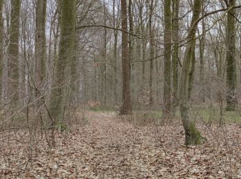 Randonnée Marche Lontzen - A la découverte des trois frontières  - Photo