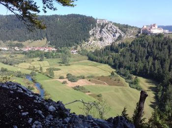 Trail Walking Granges-Narboz - Les Granges Dessus - belvédère sur le château de Joux  - Photo