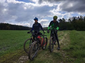 Excursión Bici de montaña Vathiménil - sortie VTT du 05052019 vathi gerbeviller - Photo