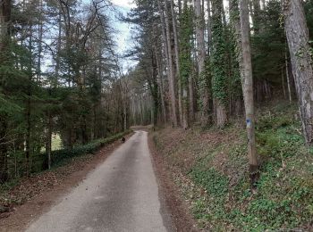 Tocht Stappen Piégros-la-Clastre - chemin des maries retour Estour - Photo