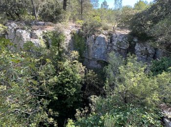 Tocht Stappen Le Beausset - LES 4 FRÈRES - Photo