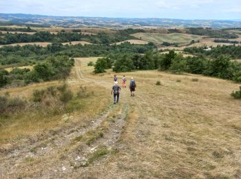 Tour Wandern Belvèze-du-Razès - Belvèze Sentier des vignerons - Photo