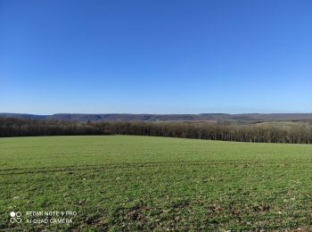 Excursión Senderismo Velars-sur-Ouche - velars - Photo