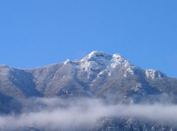 Tocht Te voet Velo d'Astico - San Ubaldo - Monte Priaforà - Photo