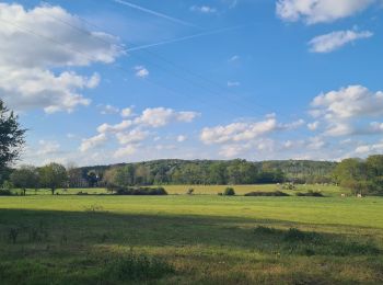 Tocht Stappen Fourdrain - Parcours Fourdrain - Suzy - Photo