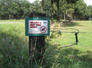 Trail On foot Haaksbergen - Wandelnetwerk Twente - paarse route - Photo