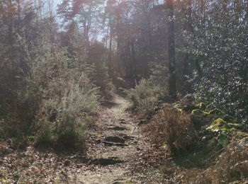 Trail Walking Saint-Ouen-le-Brisoult - Les Gorges de Villiers - Photo