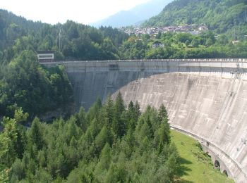 Trail On foot Pieve di Cadore - IT-351 - Photo