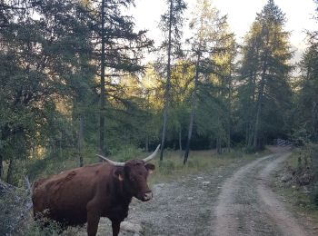 Randonnée Marche Ubaye-Serre-Ponçon - Clot la Cime - Photo