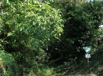 Tocht Te voet Untergruppenbach - SB6 Schnuppertour im Naturpark - Photo