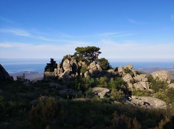 Randonnée Marche Monacia-d'Aullène - omu di cagna, col du Monaco, omu d'ovace - Photo