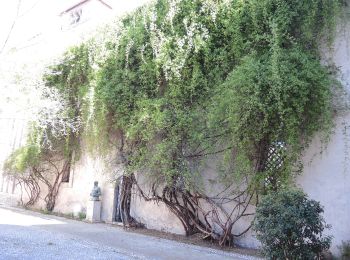 Randonnée A pied Fara in Sabina - CAI 351: Fara Sabina - Farfa - Mompeo - Photo