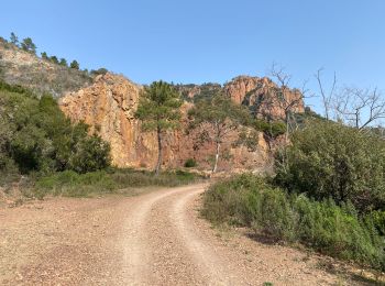 Randonnée V.T.T. Les Adrets-de-l'Estérel - Esterel 5 : Fait en 2022 des Adrets vers le pic de l’ours - Photo