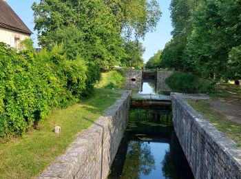 Tocht Stappen Vieilles-Maisons-sur-Joudry - Grignon - Photo