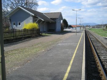 Tour Zu Fuß Bad Waltersdorf - Herz-Kreislauf mit Lauf ABC - Photo