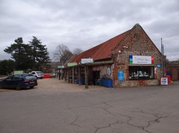 Trail On foot King's Lynn and West Norfolk - Brancaster Staithe Circular - Photo