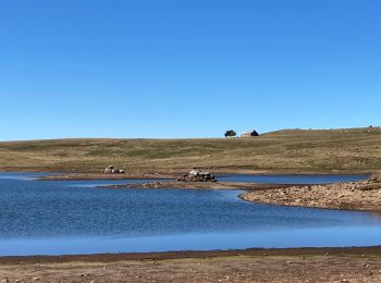 Tocht Wegfiets Saint-Chély-d'Aubrac - Aubrac trans Aubrac croix de rodes  - Photo