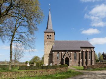 Tocht Te voet Maaseik - Solterheide Rode driehoek - Photo