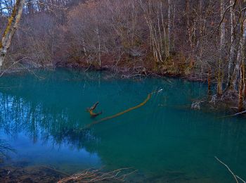 Excursión A pie Torriglia - Anello del Brugneto - Photo