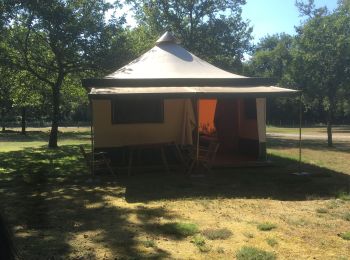 Randonnée Randonnée équestre Belhade - Belhade - Belin Béliet - Photo