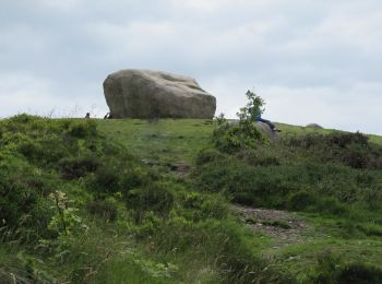 Percorso A piedi Sconosciuto - Rostrevor Forest - Slievemartin Trail - Photo