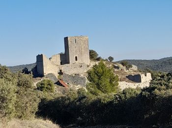 Randonnée Marche Montoulieu - Montoulieu - Photo