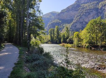 Excursión Senderismo Tarascon-sur-Ariège - De Tarascon sur Ariège aux Cabannes  - Photo