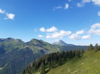 Tour Wandern Morzine - balade des crêtes : Avoriaz . belvédère du lac de Montriond . croix des combes . Avoriaz - Photo