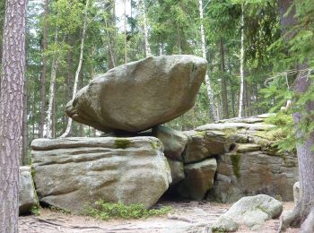 Tocht Te voet Gemeinde Heidenreichstein - Moorpfad - Photo