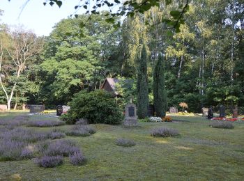 Tocht Te voet Boxberg/O.L. - Hamor - Grüner Punkt - Photo