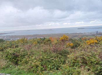 Randonnée Marche Cherbourg-en-Cotentin - Tourlaville - Collignon - Photo