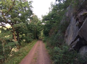 Tocht Te voet Edertal - Nationalparkrundweg Bloßenberg-Route - Photo