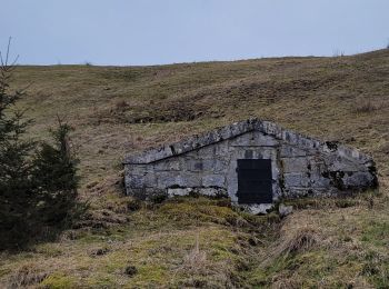 Tour Wandern Chaux-Neuve - 2024-02-19_10h54m37_visorando-vue-sur-le-haut-du-tremplin-de-chaux-neuve-et-la-cascade-du-bief-bridaux - Photo