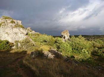 Randonnée Marche Viala-du-Pas-de-Jaux - lapanouse - Photo