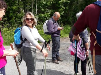 Tour Wandern Rives-de-l'Yon - caille les orneaux - Photo