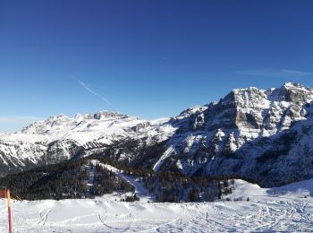 Tour Zu Fuß Stenico - Sentiero del Doss del Sabion - Photo