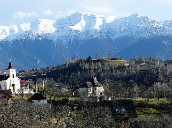 Percorso A piedi  - Casa Folea-Prăpăstiile Zărneștilor - Photo