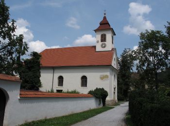 Tour Zu Fuß Mortantsch - Wanderweg 27 - Photo